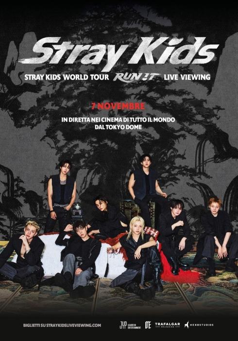 Stray kids world tour - run it - live viewing