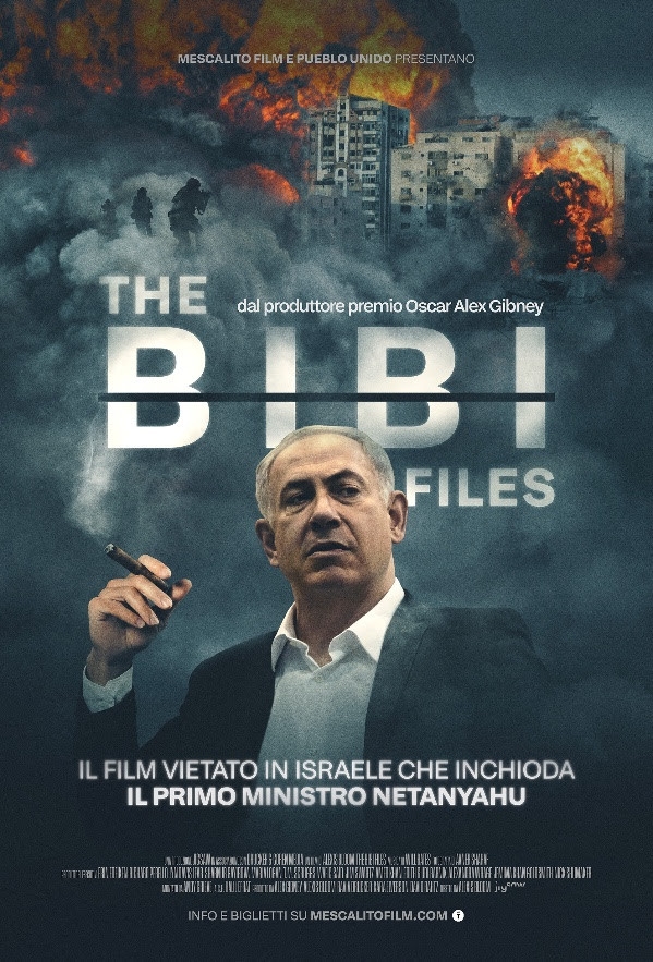 Locandina The bibi files